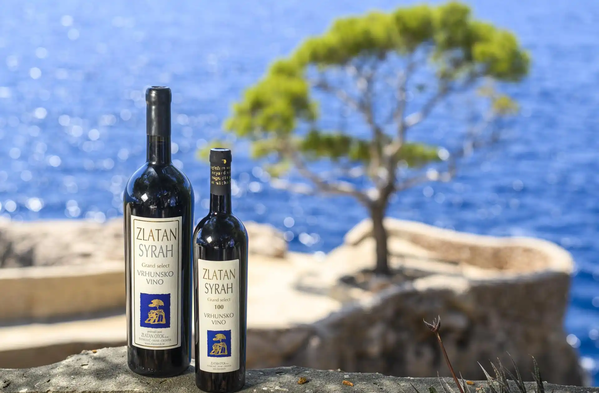 Two bottles of Zlatan Syrah wine displayed on a stone wall overlooking the bright blue Adriatic Sea and a lone seaside pine tree on Hvar Island