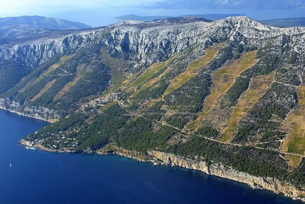 Aerial view of Hvar’s steep southern vineyards near Sveta Nedjelja, with terraced slopes descending toward the deep blue Adriatic Sea