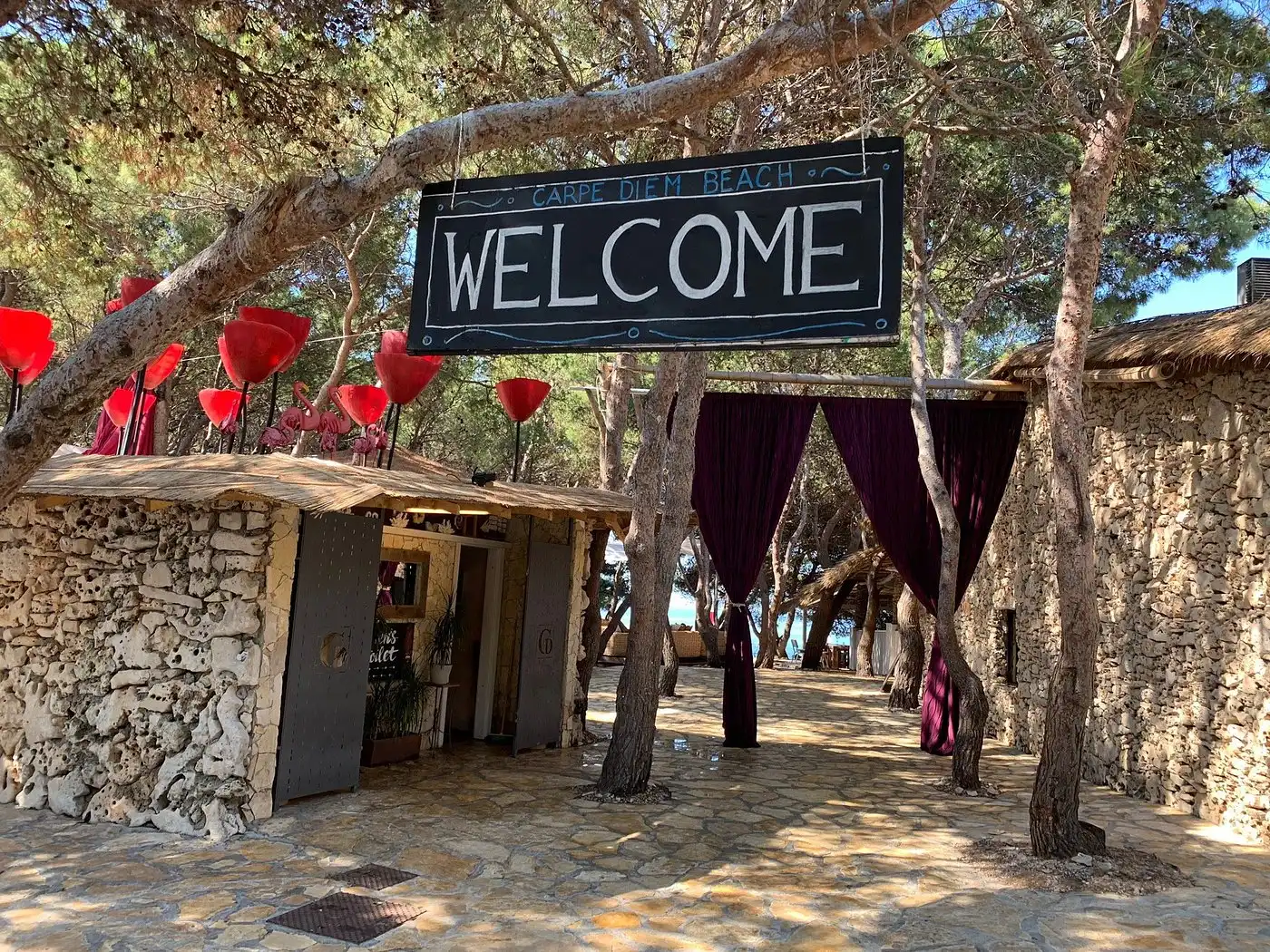 Entrance to Carpe Diem Beach on Hvar, featuring a large ‘Welcome’ sign hanging between pine trees, stone buildings, and shaded walkways leading toward the sea