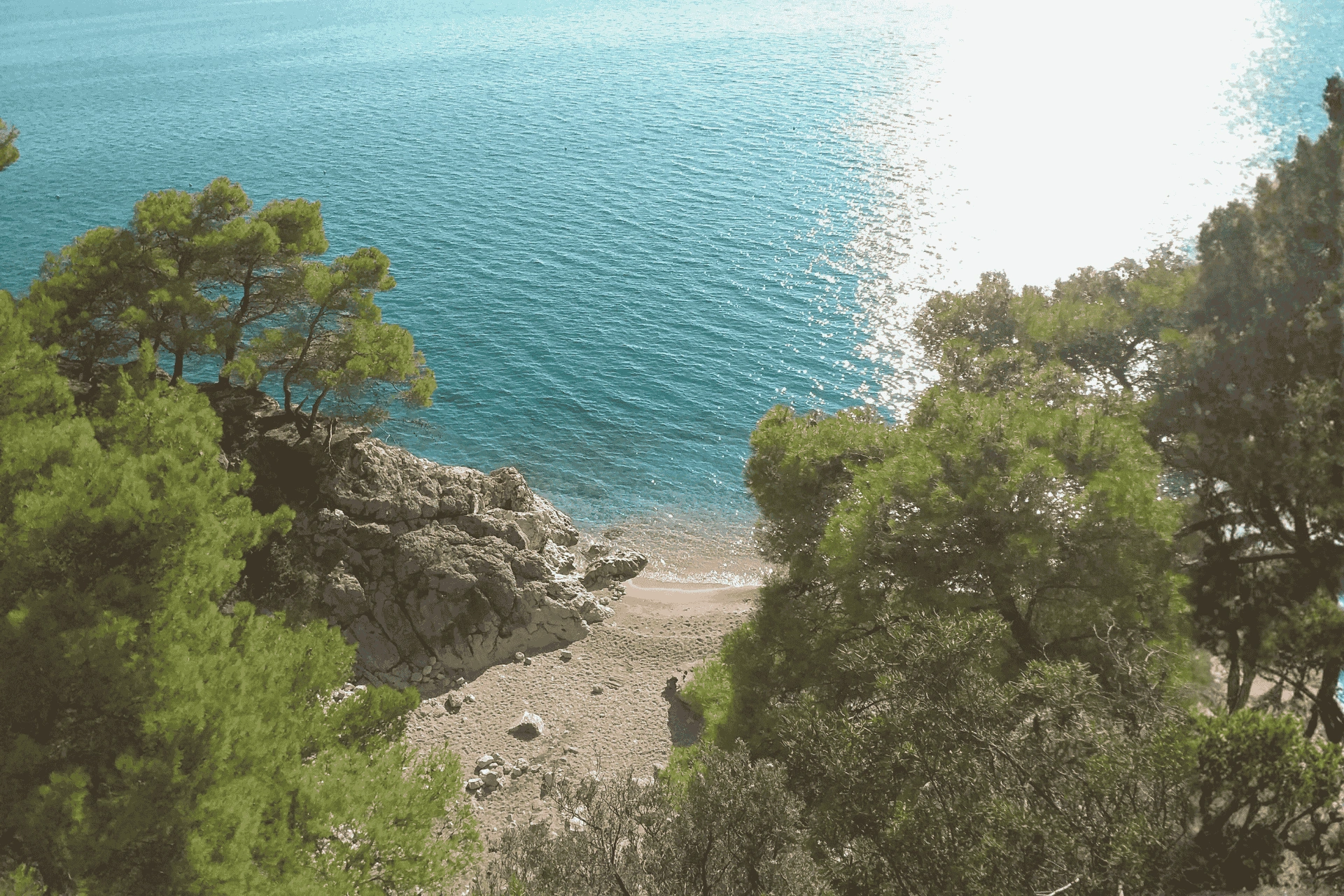 Secluded beach cove in Jagodna on Hvar Island, surrounded by pine trees and turquoise Adriatic water.