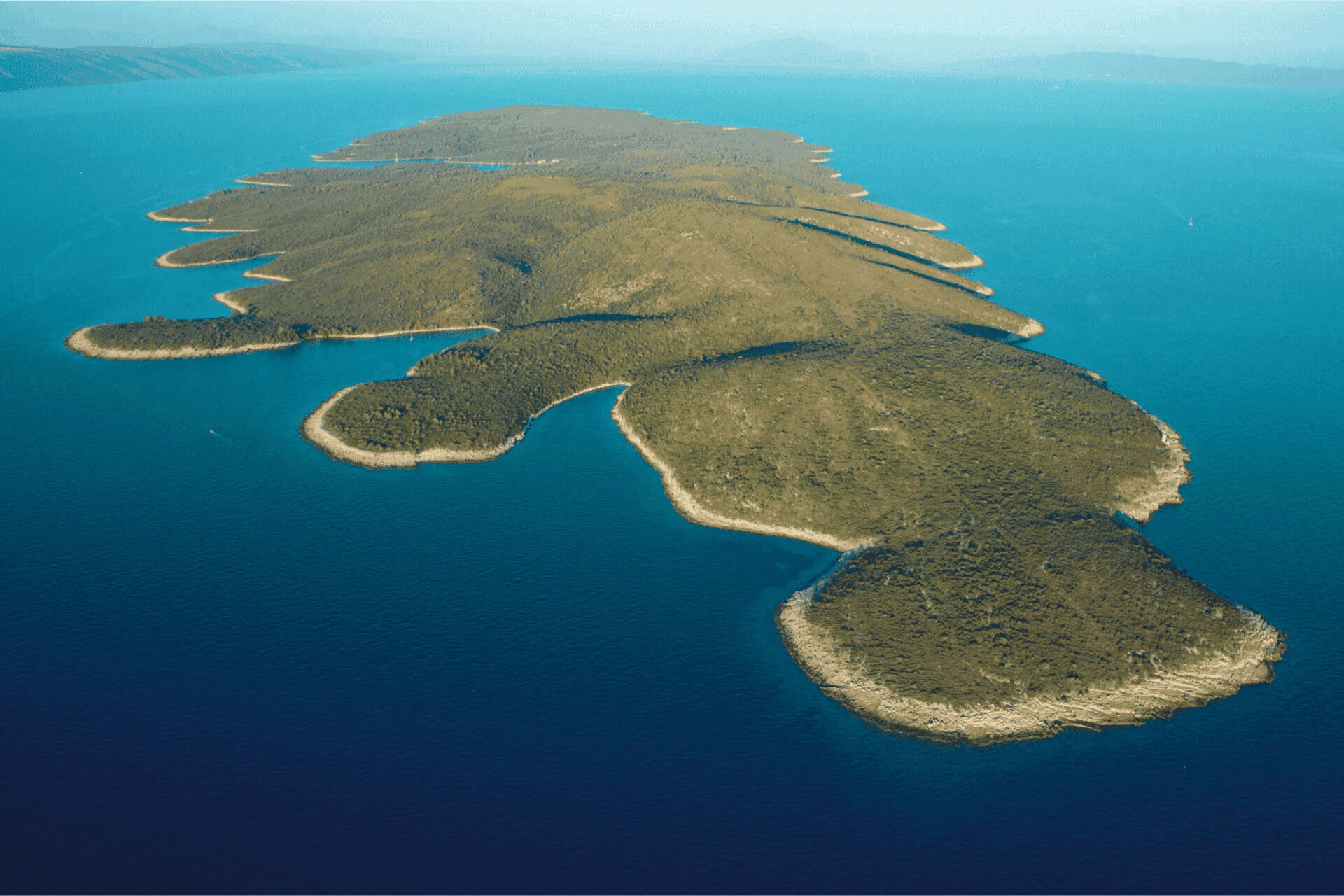 Aerial view of Šćedro Island, showing its untouched coastline, coves, and dense green landscape surrounded by crystal-blue Adriatic waters.
