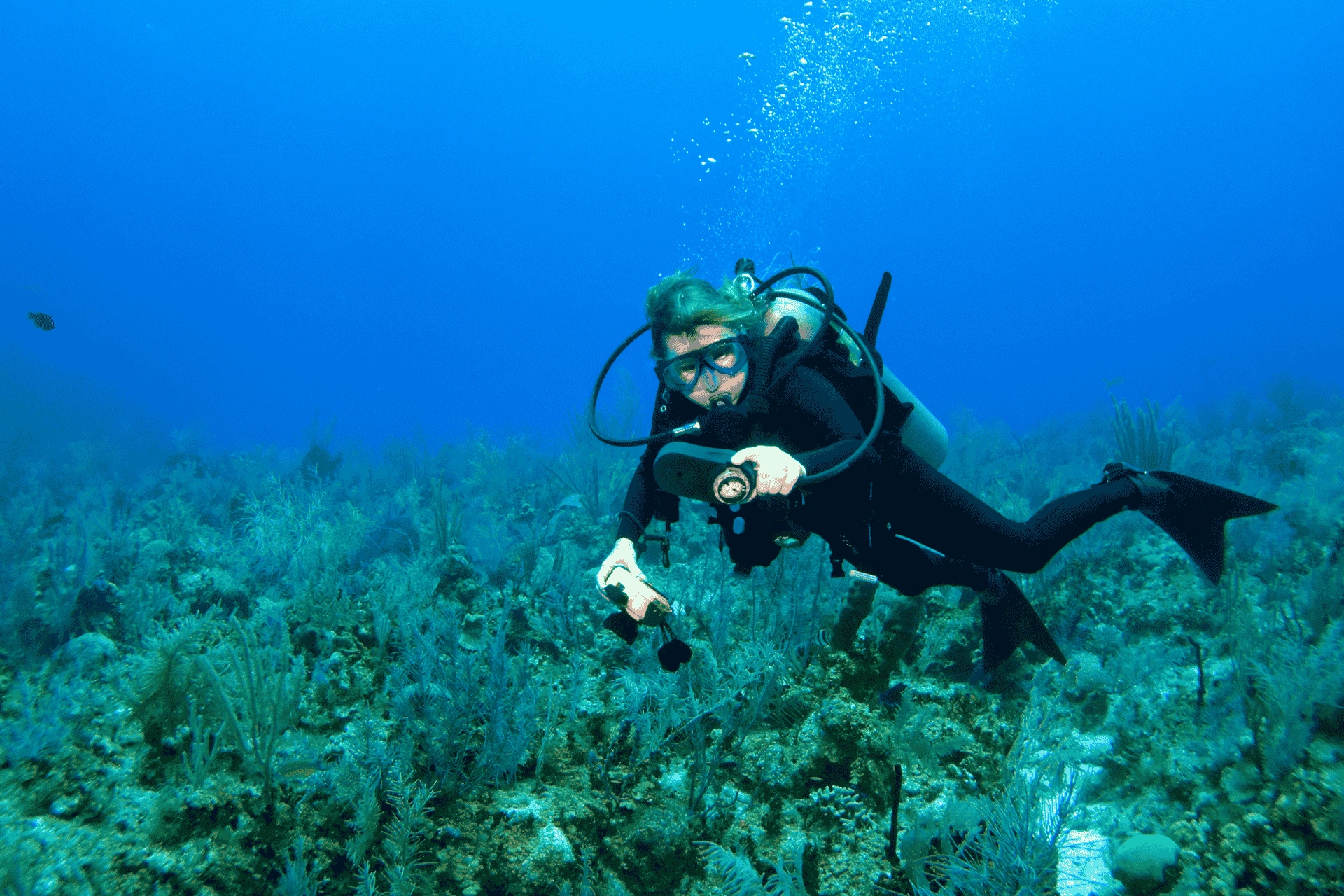 Scuba diver exploring underwater marine life in the clear blue sea